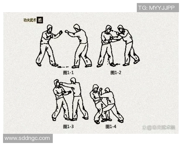 搏击与拳击的较量：技术战术与心理的全面对比分析